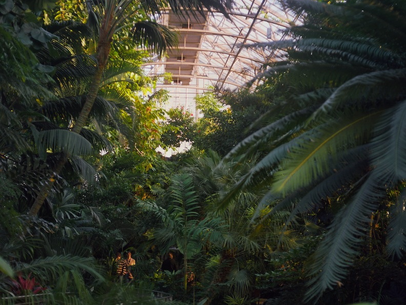 Krohn Conservatory